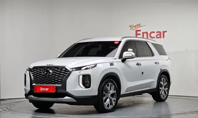 Hyundai Palisade · 2019 год