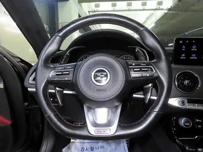 Kia Stinger 2021, 71076 км, за 28700000 KRW - фото 8