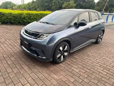 BYD Dolphin · 2024 год
