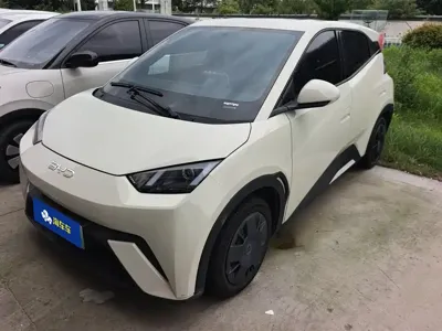 BYD Seagull · 2024 год