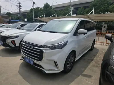 大通 G20 · 2020 год