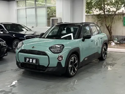 MINI MINI ACEMAN EV · 2024 год