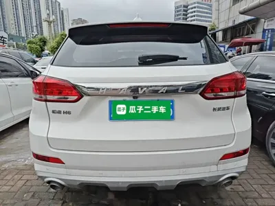 Haval H6 Coupe 2020, 73200 км, за 45800 CNY - фото 6