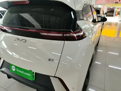 BYD Seagull 2024, 11100 км, за 49900 CNY - фото 8