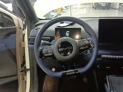 BYD Seagull 2023, 22100 км, за 43400 CNY - фото 11