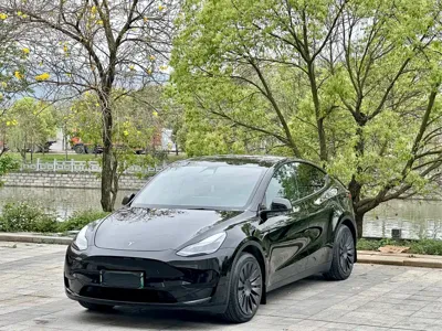 Tesla Model Y · 2023 год