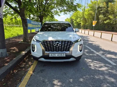 Hyundai Palisade · 2019 год