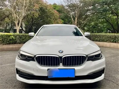 BMW 5 Series · 2017 год