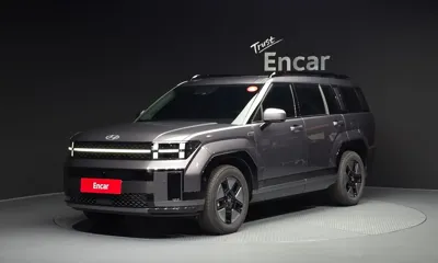 Hyundai Santafe · 2024 год