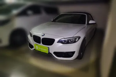 BMW 2 Series · 2019 год