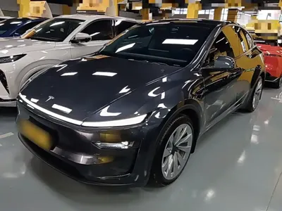 Tesla Model Y · 2025 год