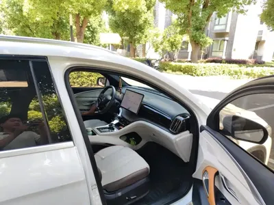 BYD Pro New Energy 2023, 59800 км, за 74400 CNY