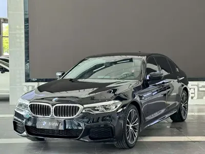 BMW 5 Series · 2019 год