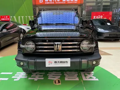 Tank Tank 300 2023, 50000 км, за 148800 CNY