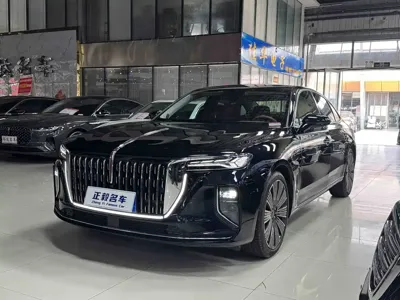 Hongqi Hongqi H9 · 2025 год
