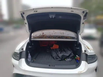 Xiaomi Auto SU7 2024, 33200 км, за 184095.81 CNY - фото 20