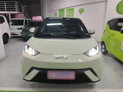BYD Seagull 2024, 20800 км, за 48300 CNY
