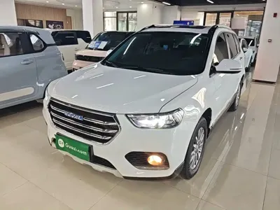Haval H6 · 2018 год