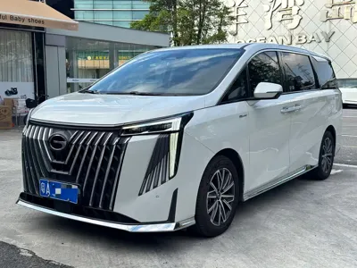 GAC Motor Trumpchi M8 · 2024 год