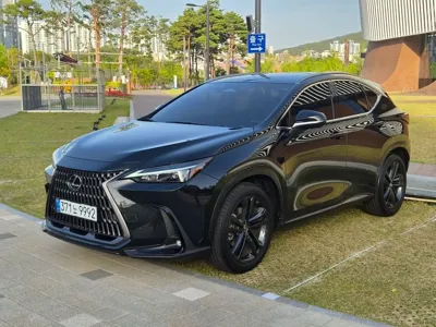 Lexus NX · 2025 год