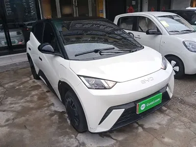BYD Seagull 2025, 22400 км, за 52699 CNY