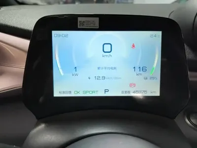 BYD Dolphin 2022, 45900 км, за 54700 CNY - фото 12
