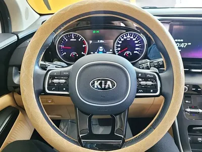 Kia Canival 2021, 56036 км, за 26390000 KRW - фото 12