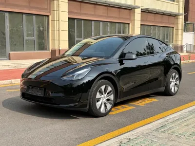 Tesla Model Y · 2023 год