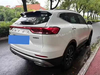 Haval H6 2024, 70000 км, за 57800 CNY - фото 6