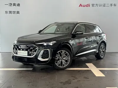 Audi Q5L · 2025 год