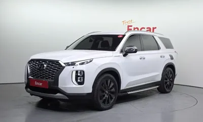 Hyundai Palisade · 2019 год