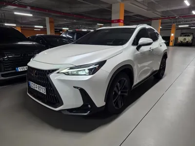 Lexus NX · 2025 год
