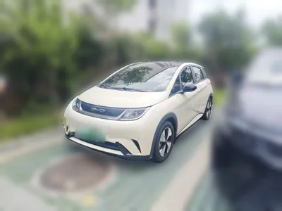 BYD Dolphin · 2023 год