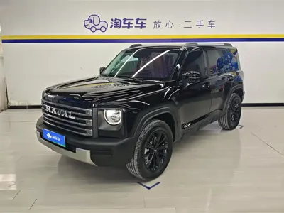 Haval Menglong New Energy · 2025 год