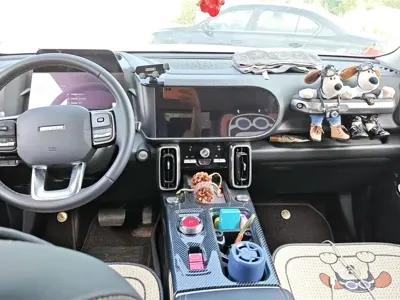 Haval Big Dog 2022, 29400 км, за 71000 CNY - фото 12