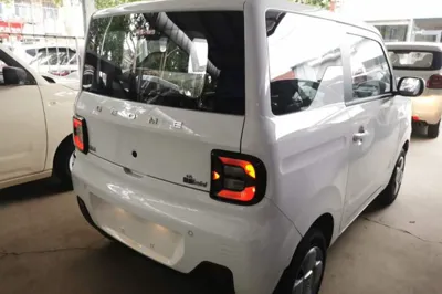 Geely Galaxy Panda 2024, 100 км, за 49679.56 CNY - фото 6