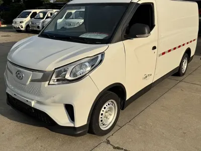 大通 EV30 2023, 209000 км, за 43800 CNY - фото 2