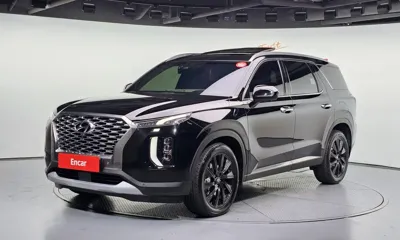 Hyundai Palisade · 2019 год