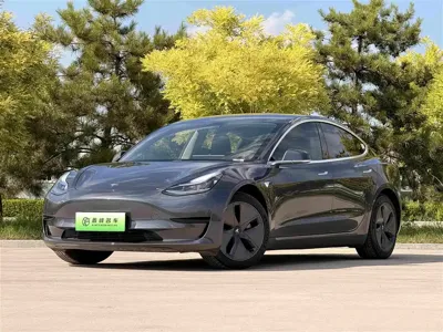 Tesla Model 3 · 2020 год