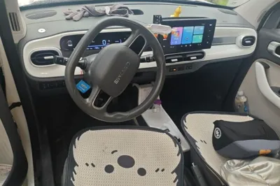 Geely Galaxy Panda 2025, 11500 км, за 44261.58 CNY - фото 6