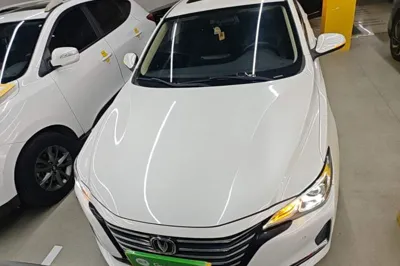 Changan Ruicheng CC 2020, 46500 км, за 50583.69 CNY