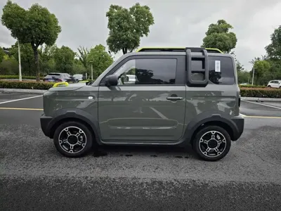 Galaxy Panda 2025, 11000 км, за 35000 CNY