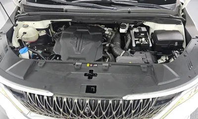 Kia Canival 2021, 35981 км, за 32000000 KRW - фото 6