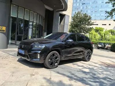 WEY Wey VV7 · 2019 год
