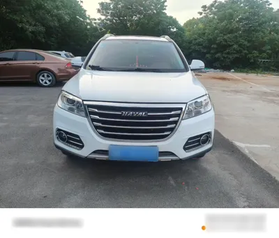 Haval H6 2019, 52500 км, за 49863.1 CNY - фото 6