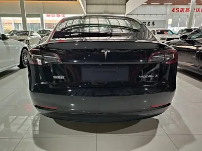 Tesla Model 3 2021, 79000 км, за 108800 CNY - фото 5