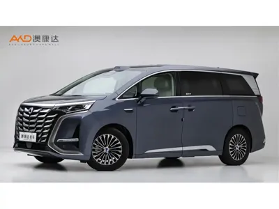 Denza Denza D9 · 2025 год