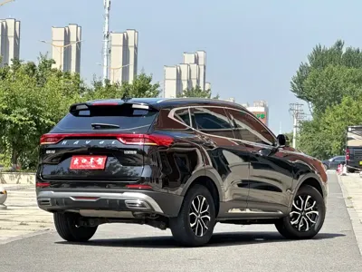 Haval H6 2023, 80000 км, за 63800 CNY - фото 6