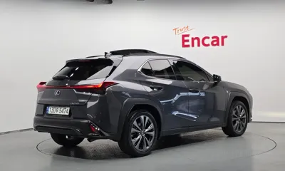 Lexus UX 2024, 53084 км, за 36500000 KRW