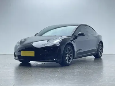 Tesla Model 3 · 2021 год
